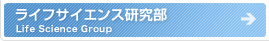 ���C�t�T�C�G���X������