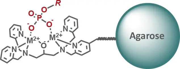 リン酸化ペプチドの質量分析の前処理に