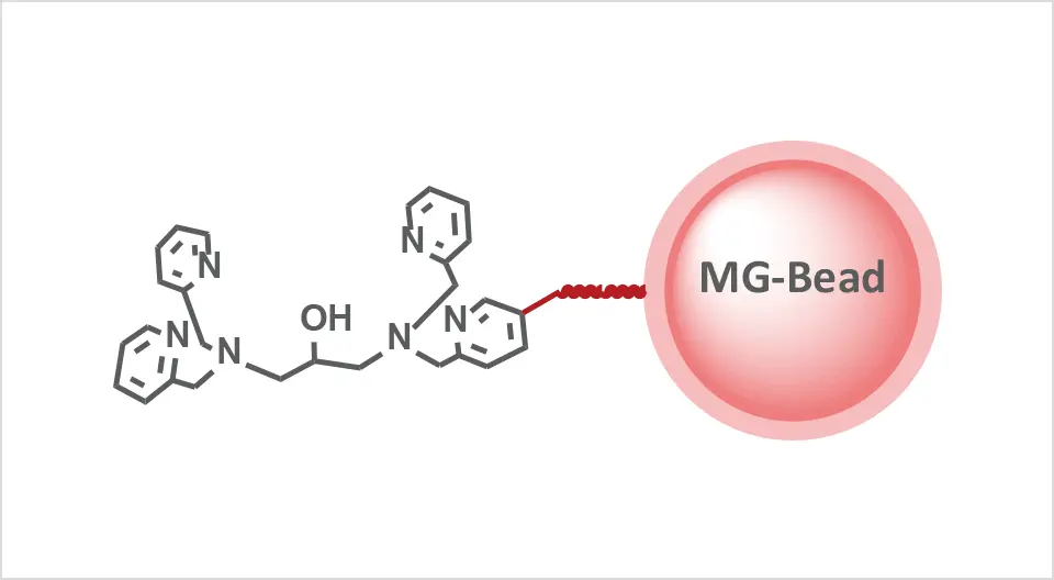Phos-tag™ MG-bead nMG-303