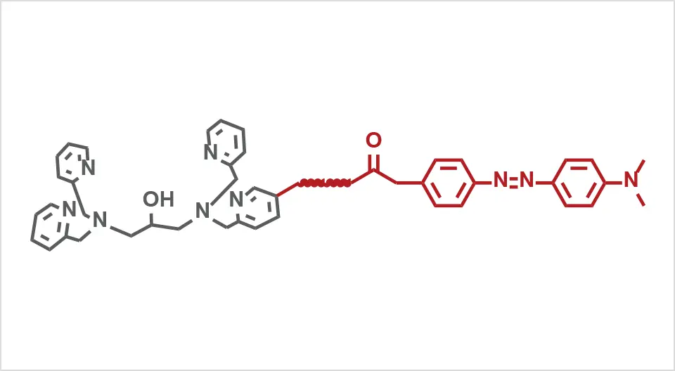 Phos-tag™ Dabcyl