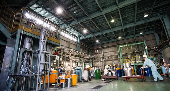Company profile and history