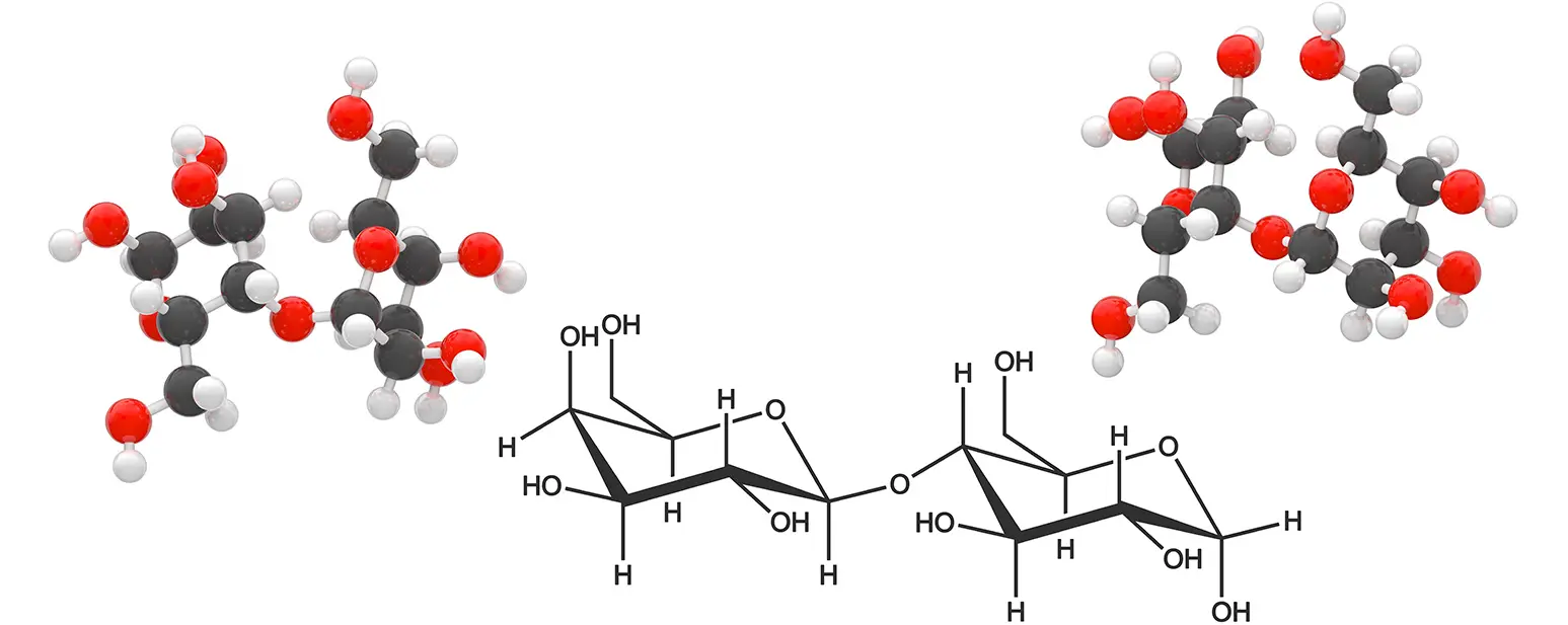Carbohydrate synthesis