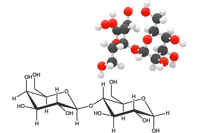 Carbohydrate synthesis