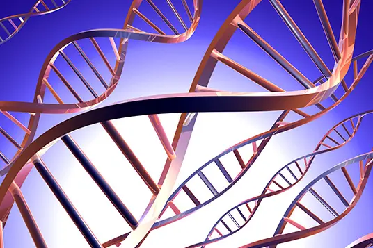 We synthesize unnatural deoxyribonucleosides and ribonucleosides.