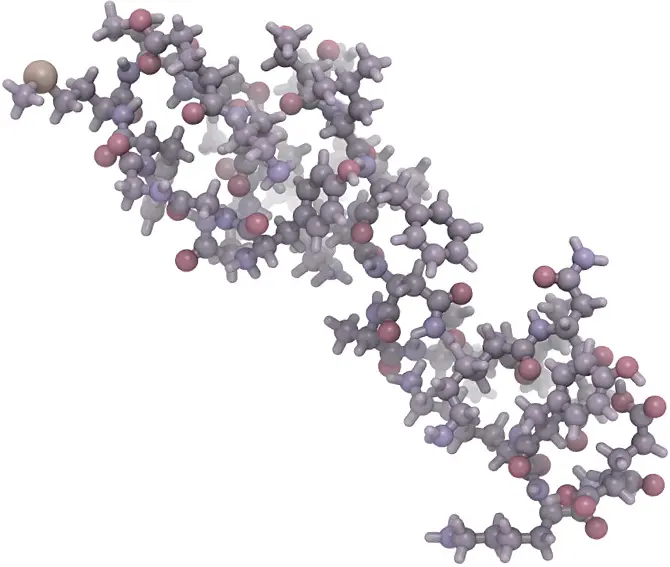 Peptide synthesis