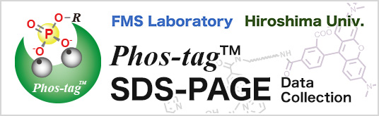 NARD Institute | Customized Phos-tag™ products
