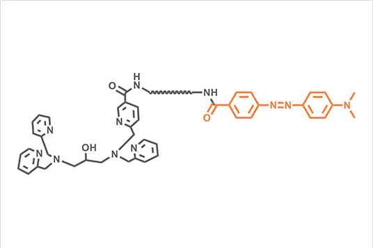 Phos-tag &trade; Dabsyl