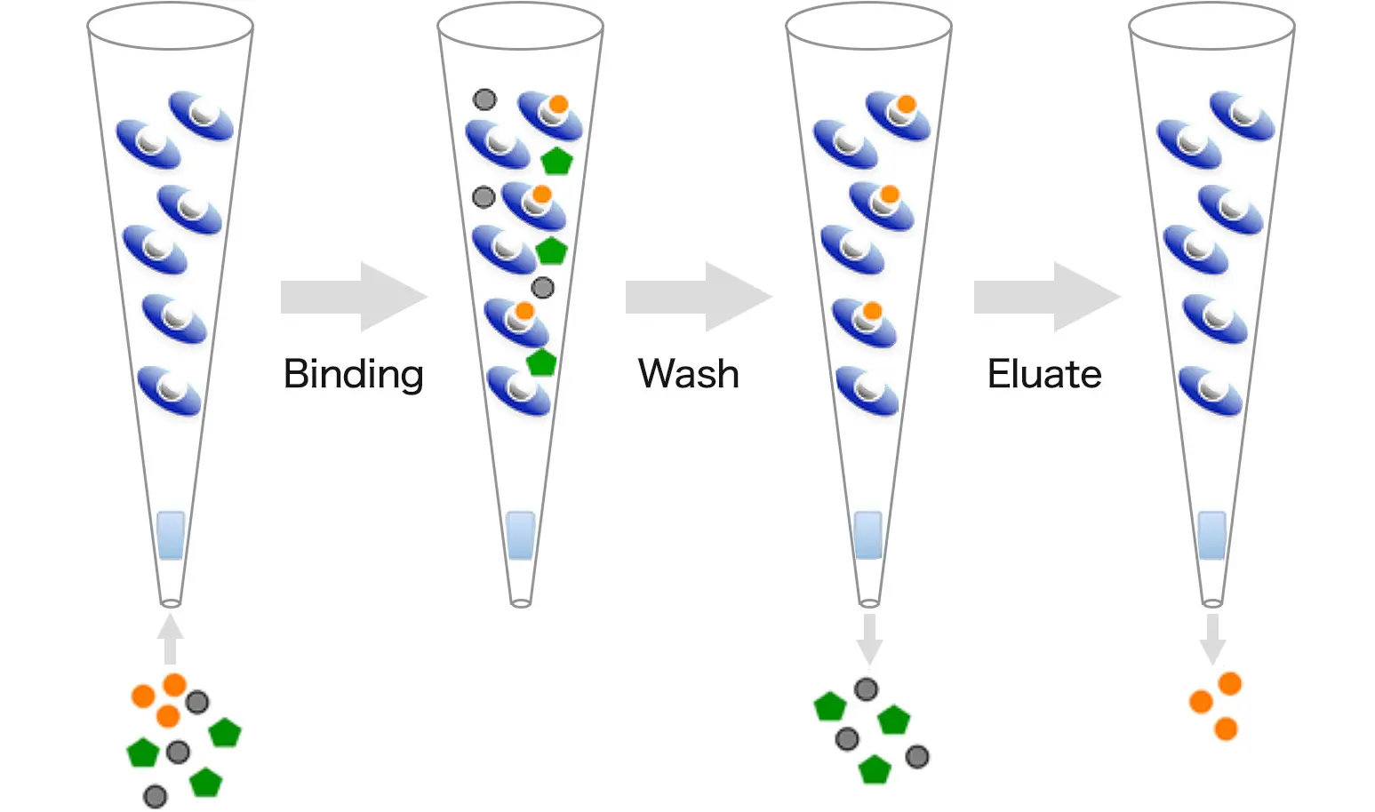 Thiol affinity chromatography