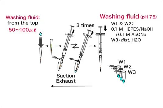 Wash
